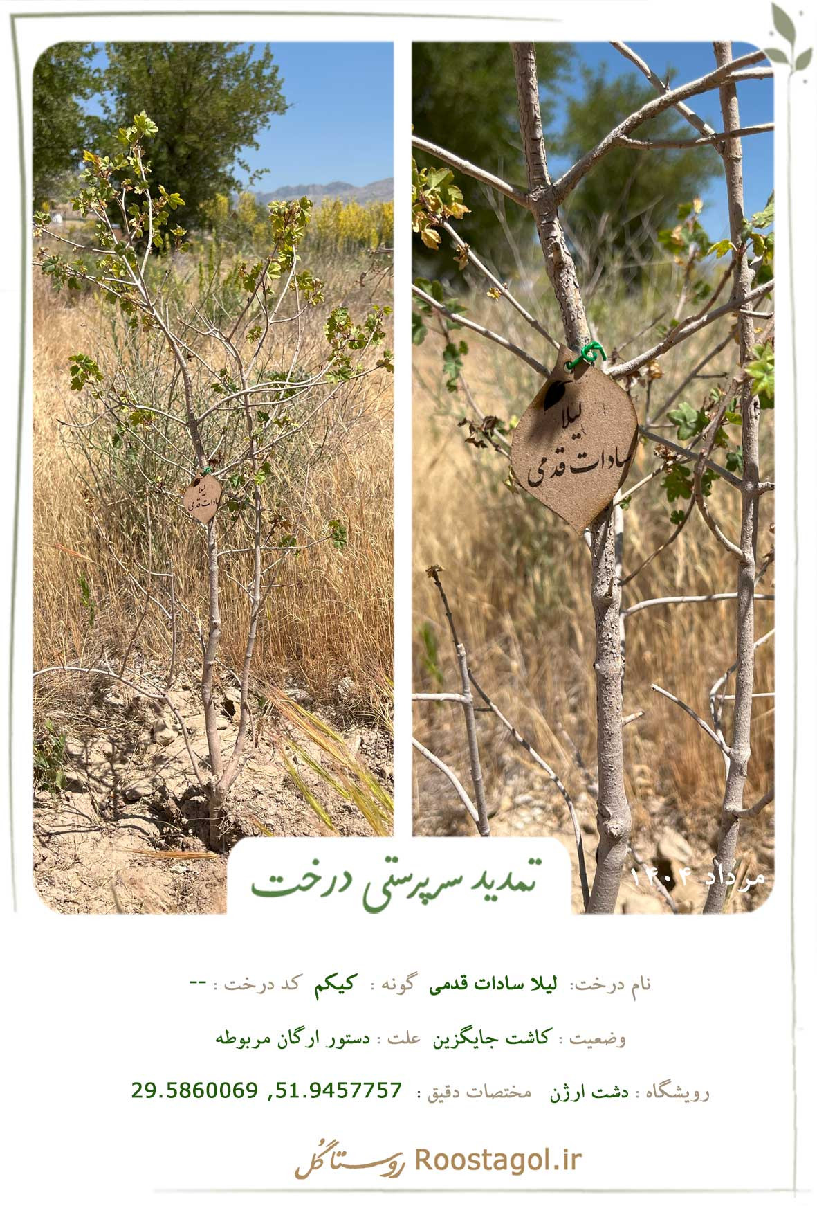 سافورا