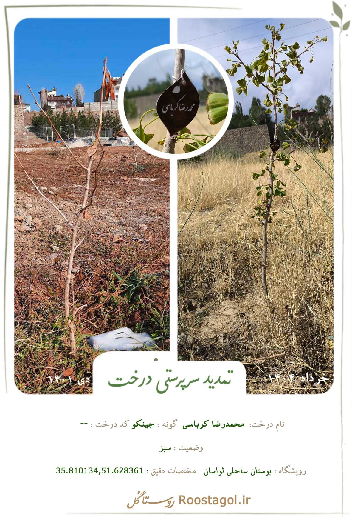 محمدرضا کرباسی