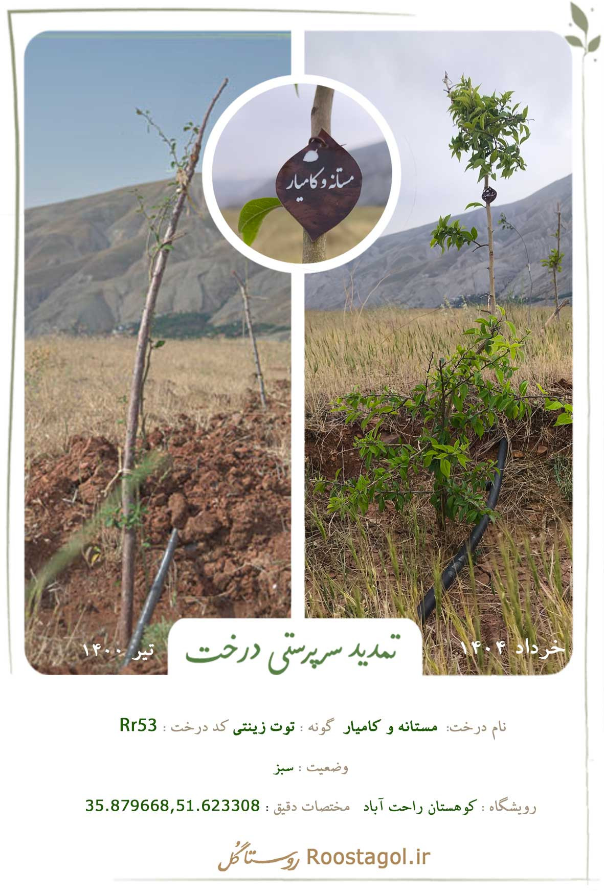 مستانه و کامیار