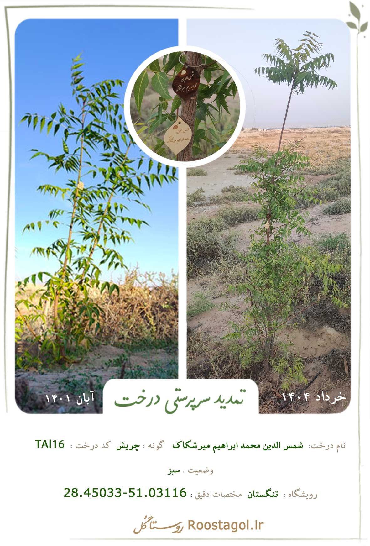 شمس الدین محمد ابراهیم میرشکاک
