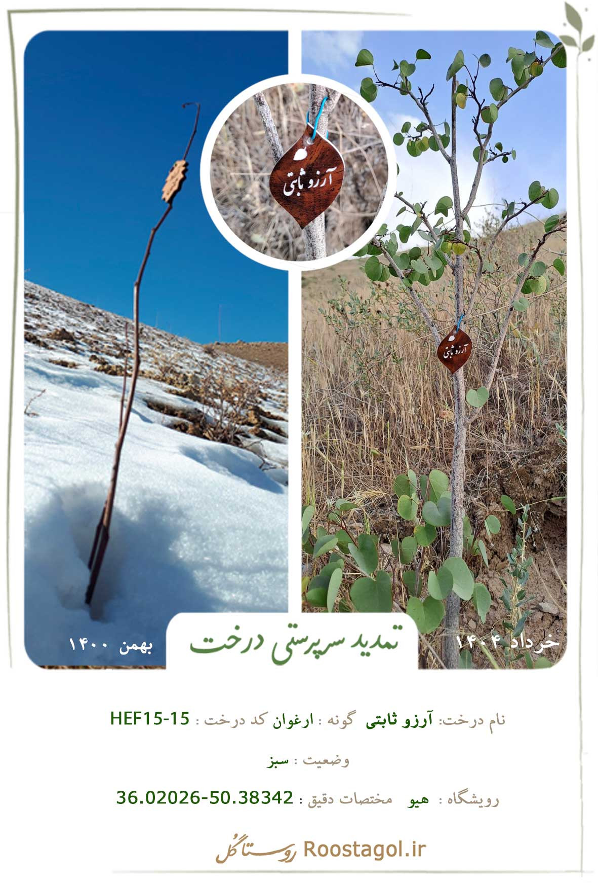 آرزو ثابتی