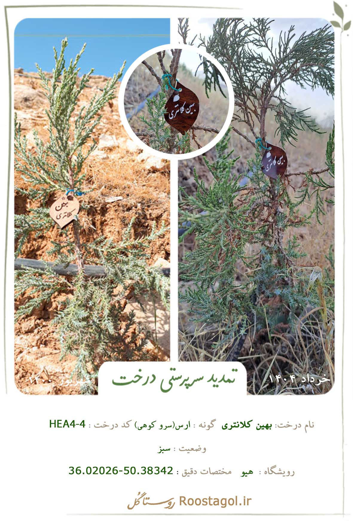 بهین کلانتری