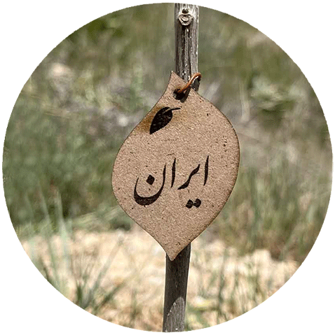 ایران - درختان - میوه