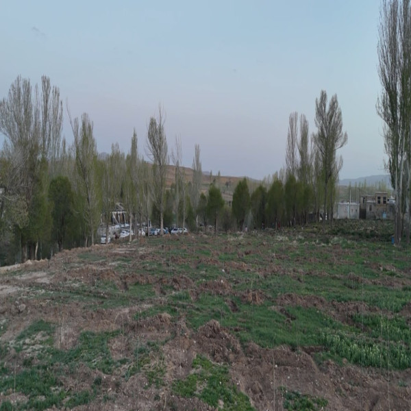 خسروشیرین