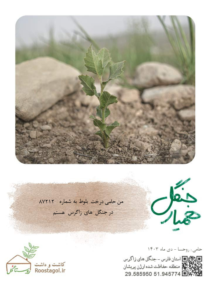 سفارش درخت