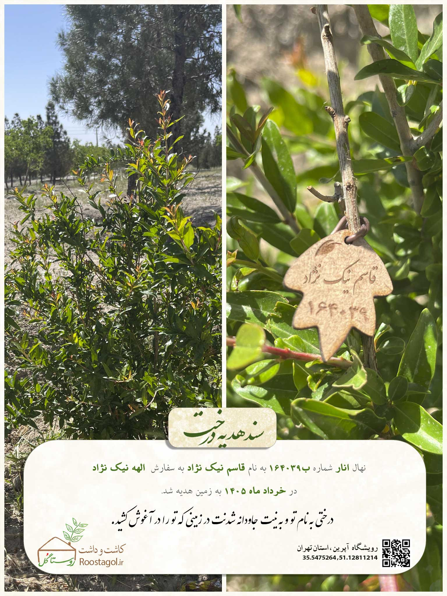 قاسم نیک نژاد