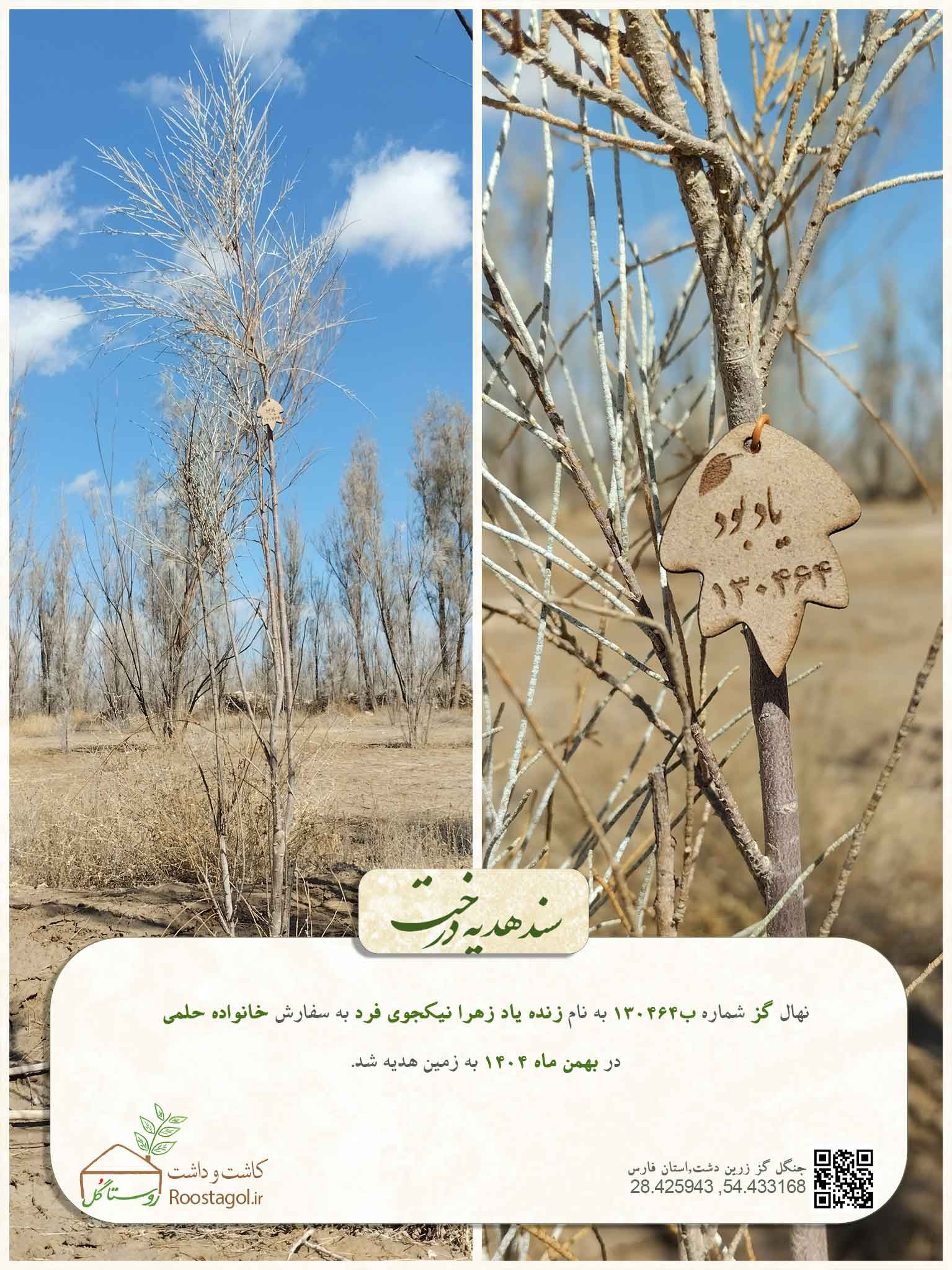 زنده ياد زهرا نيكجوى فرد