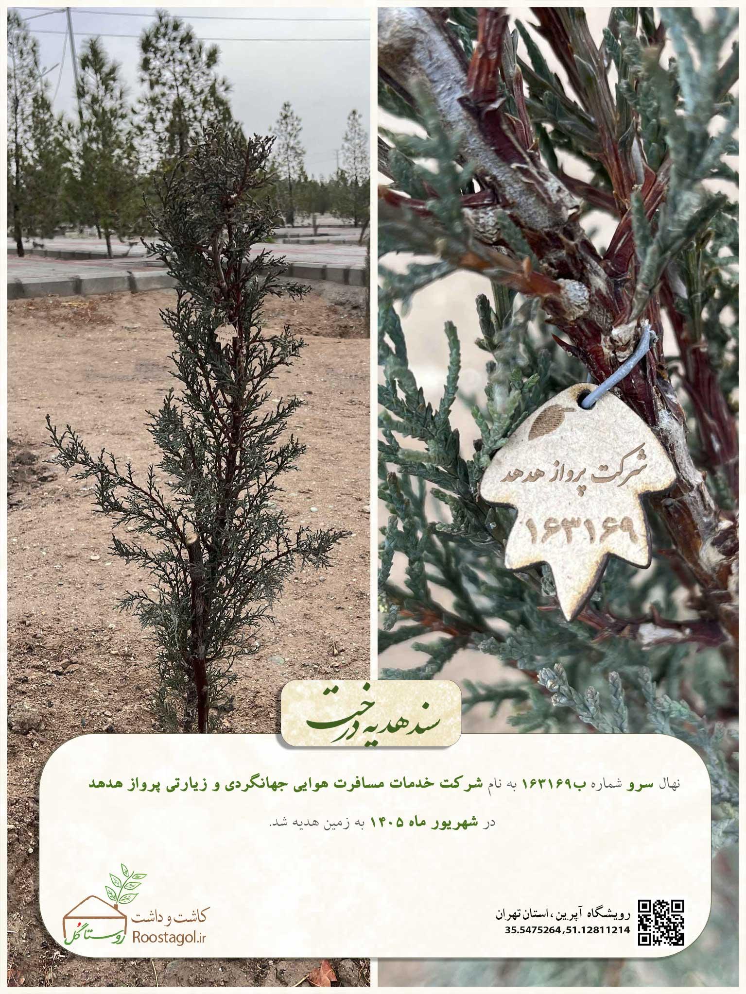 شرکت پرواز هدهد