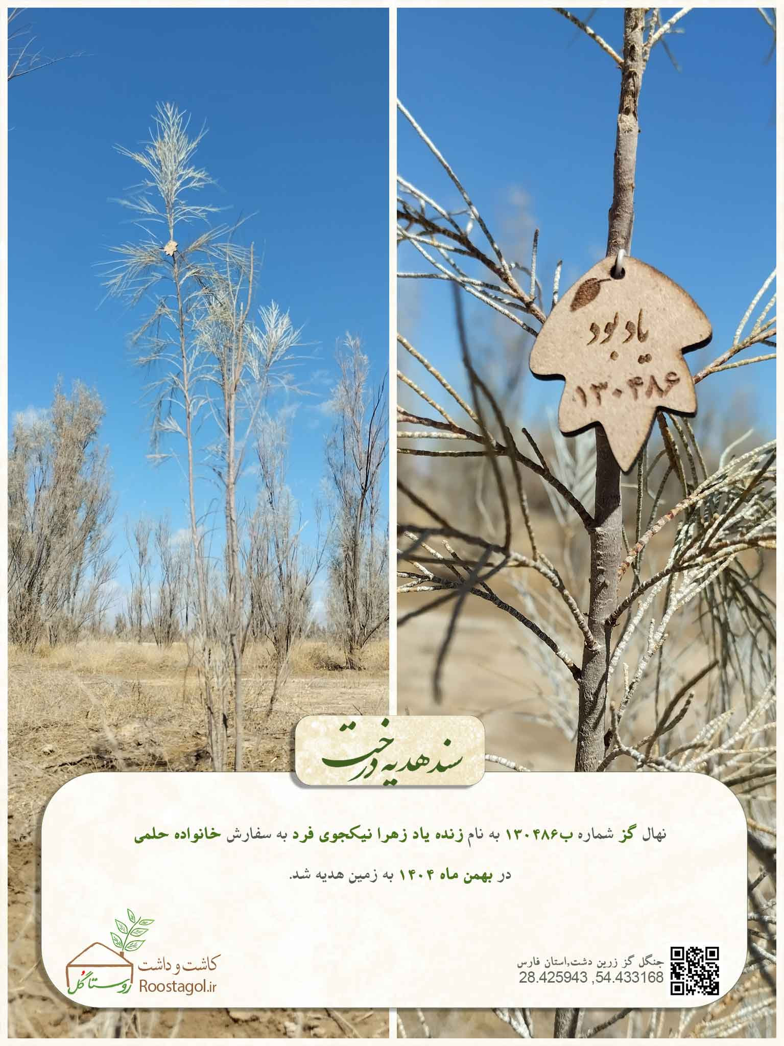 زنده ياد زهرا نيكجوى فرد