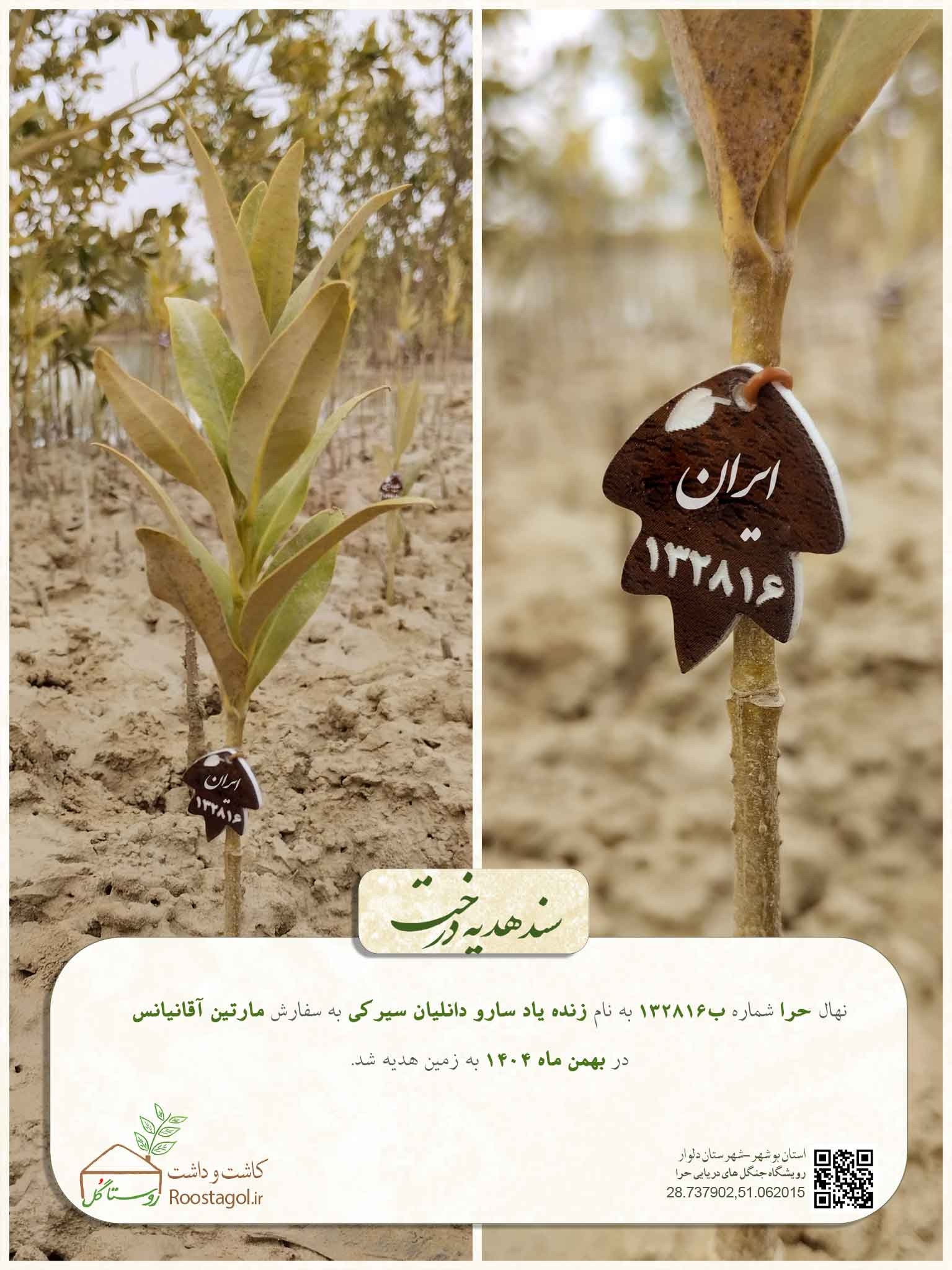 زنده یاد سارو دانلیان سیرکی