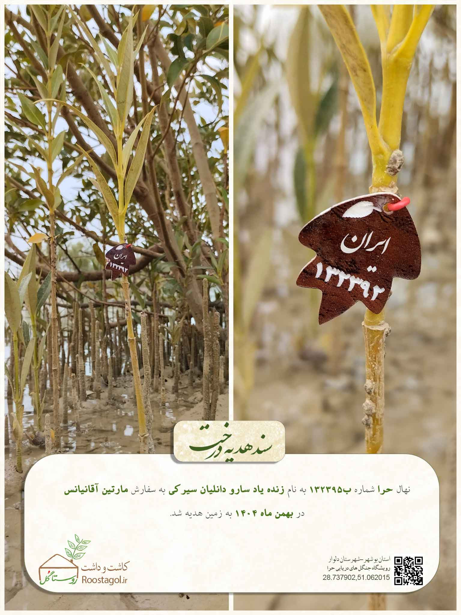 زنده یاد سارو دانلیان سیرکی