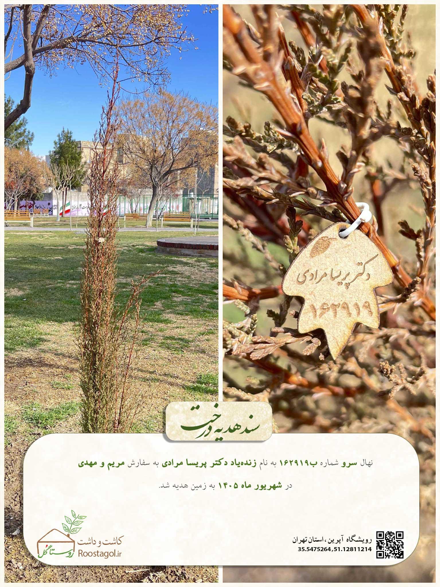 زنده‌یاد دکتر پریسا مرادی