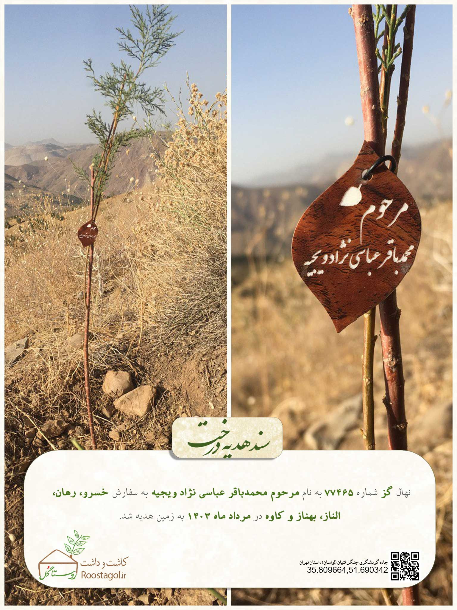مرحوم محمدباقر عباسی نژاد ویجیه