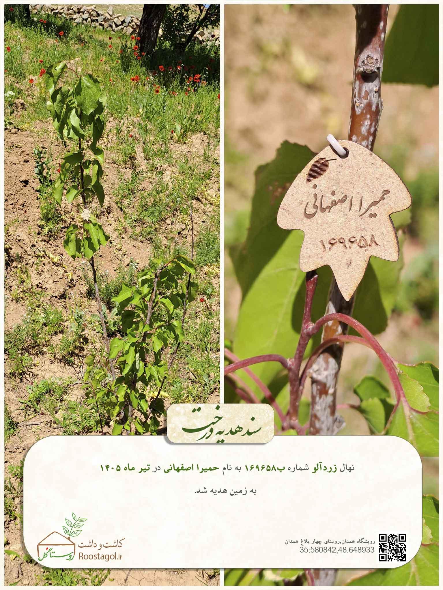 حمیرا اصفهانی