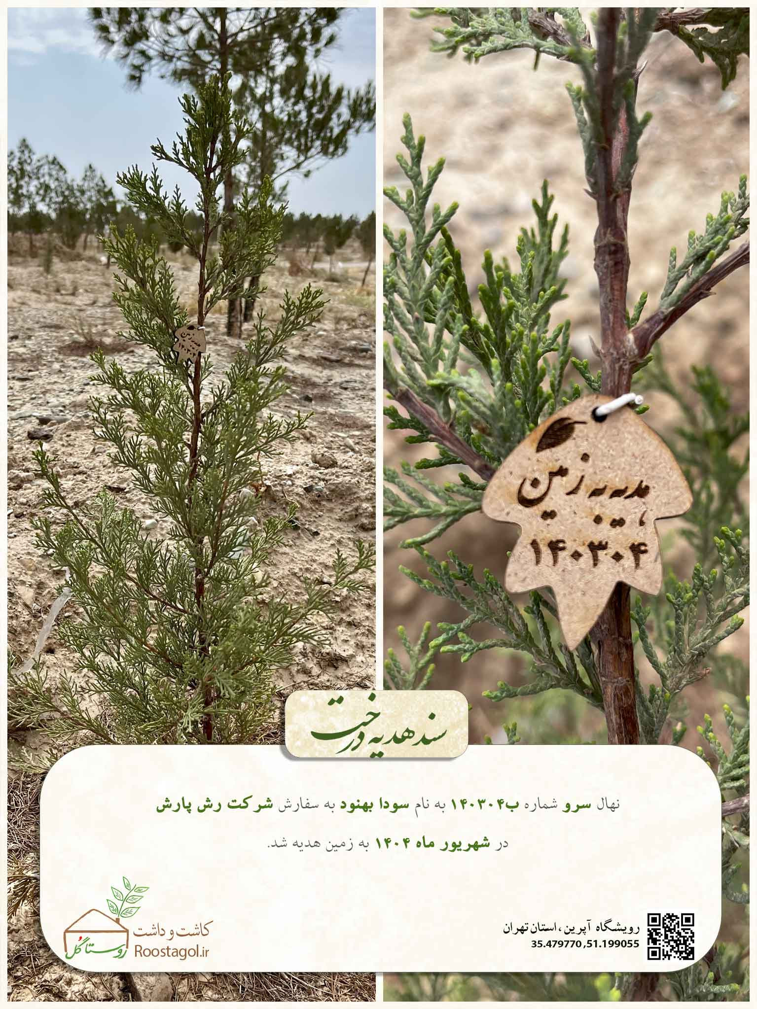 سفارش درخت