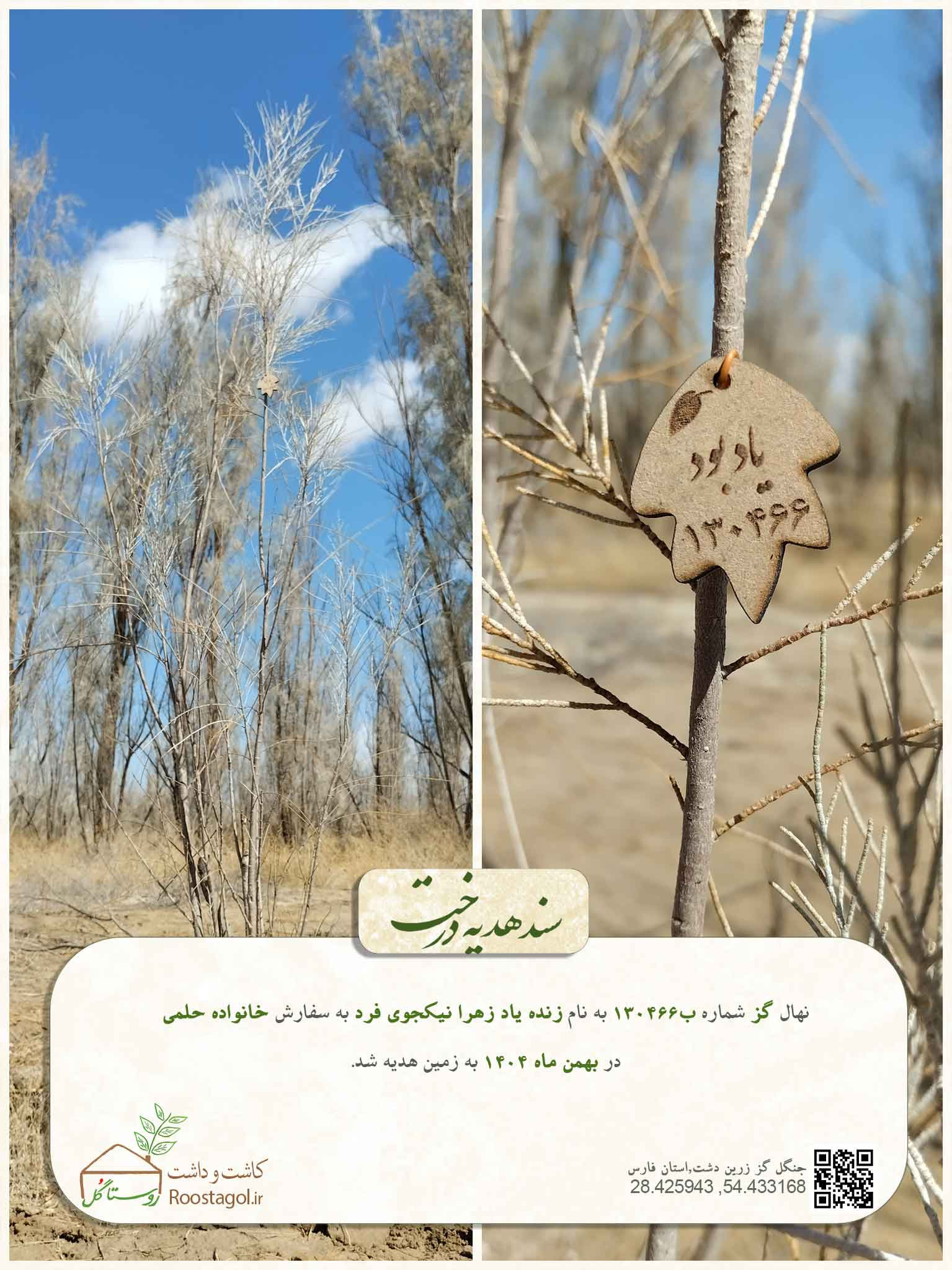 زنده ياد زهرا نيكجوى فرد