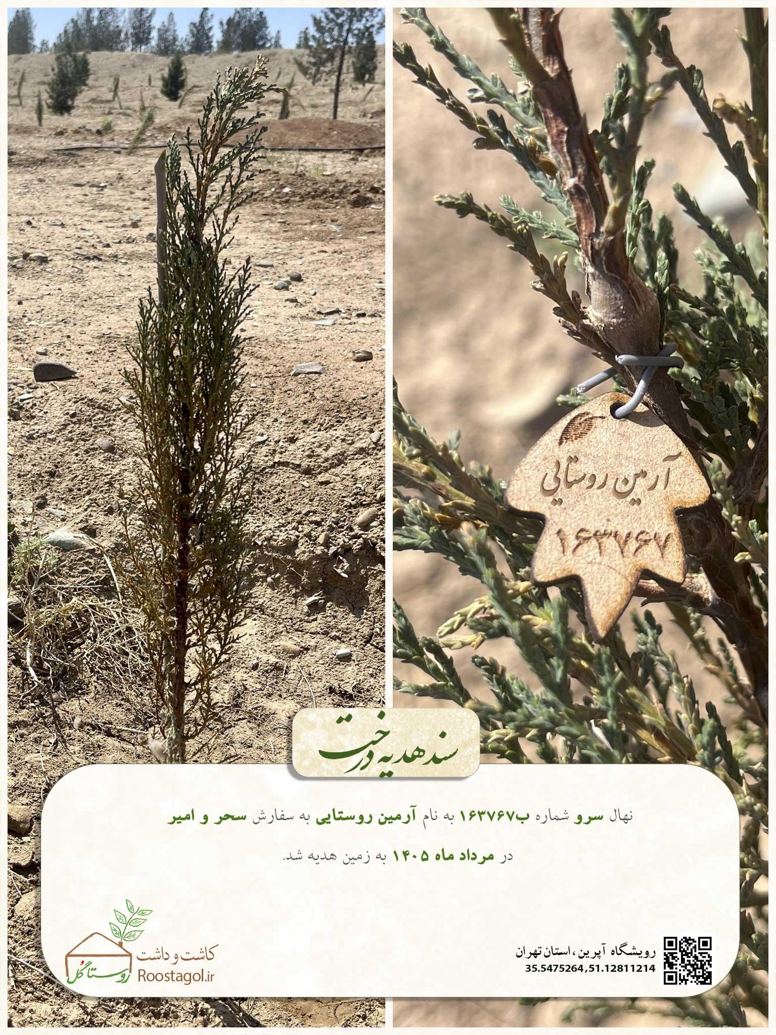آرمین روستایی