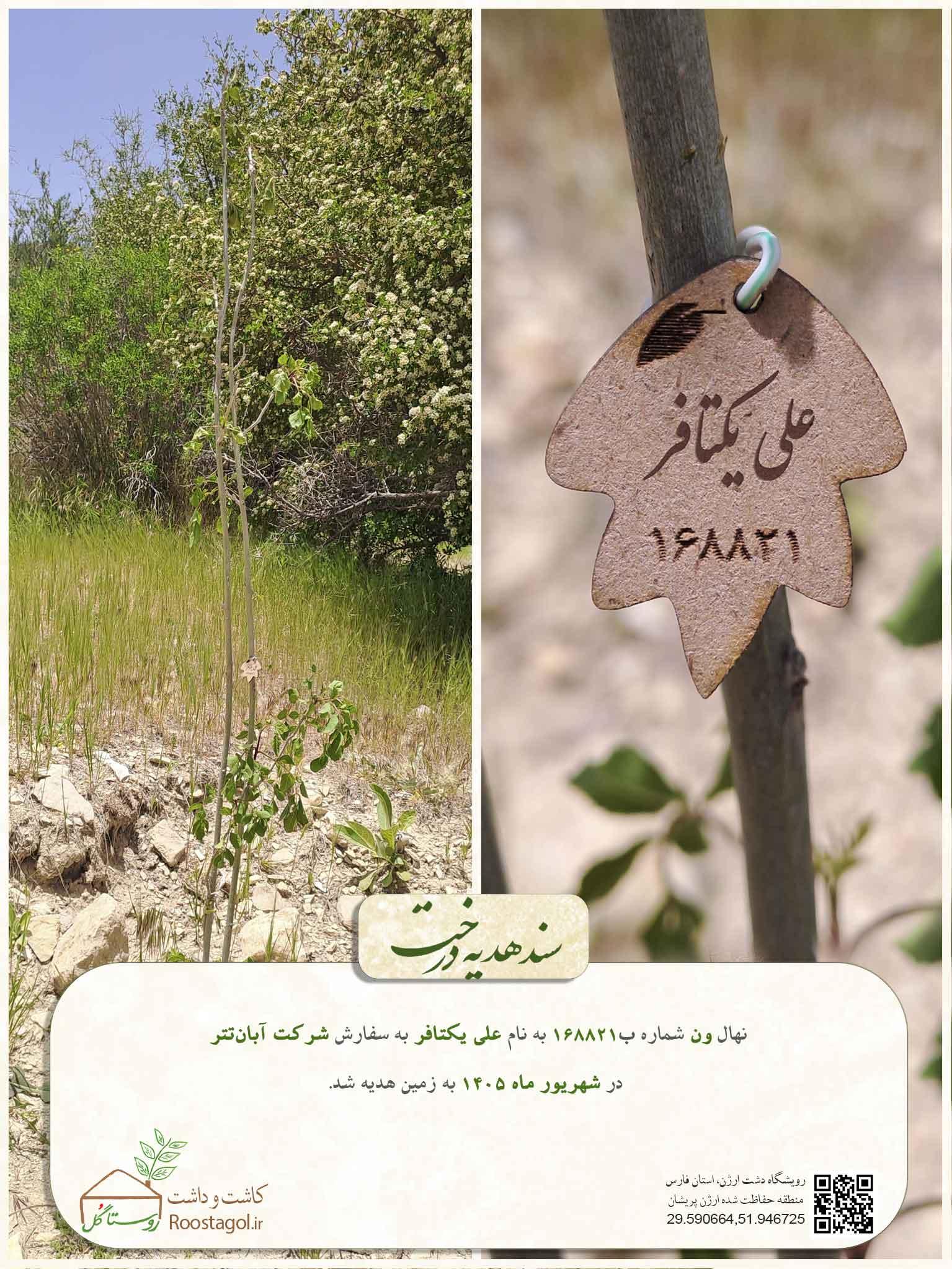 علی یکتافر