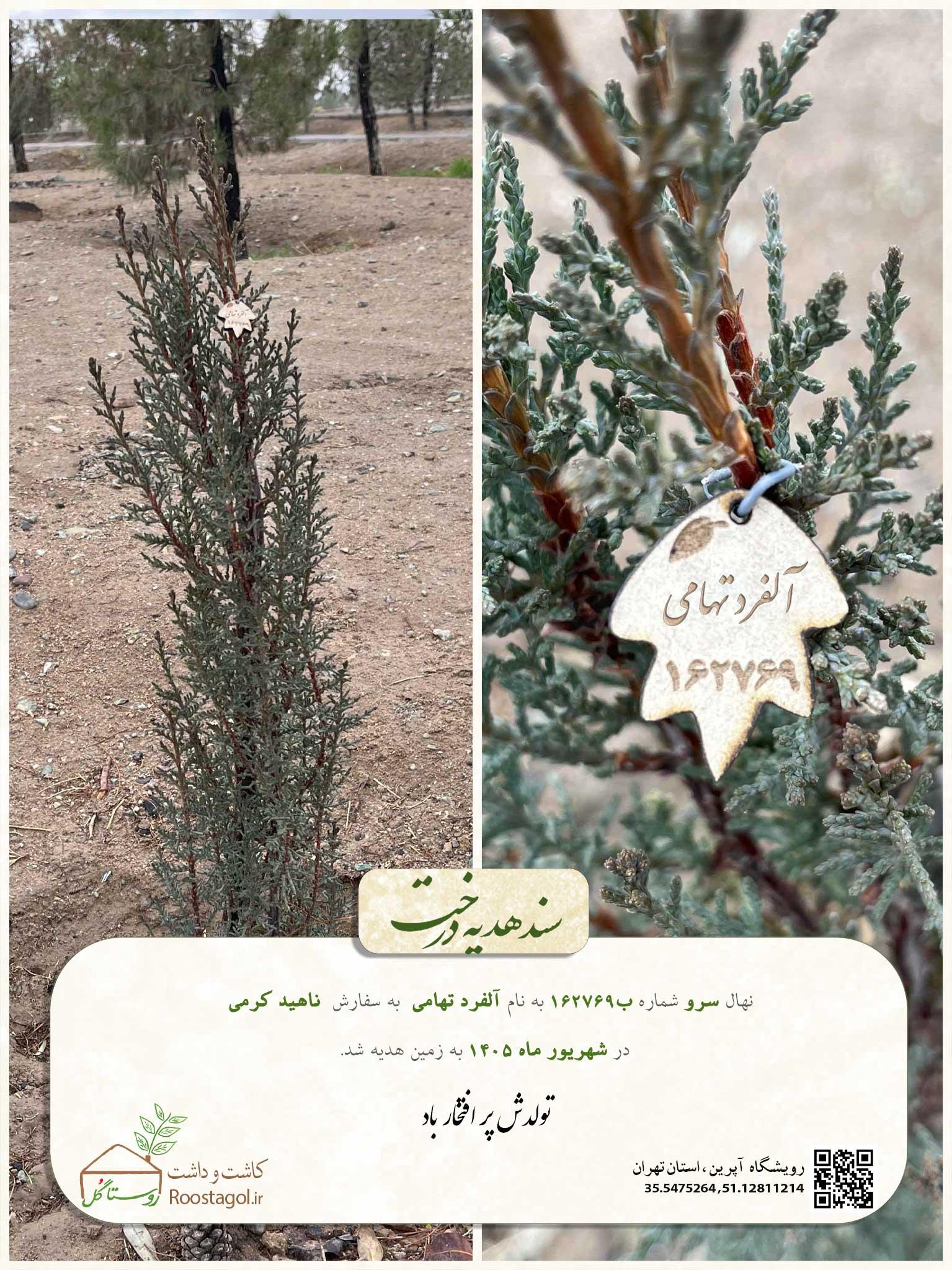 آلفرد تهامی