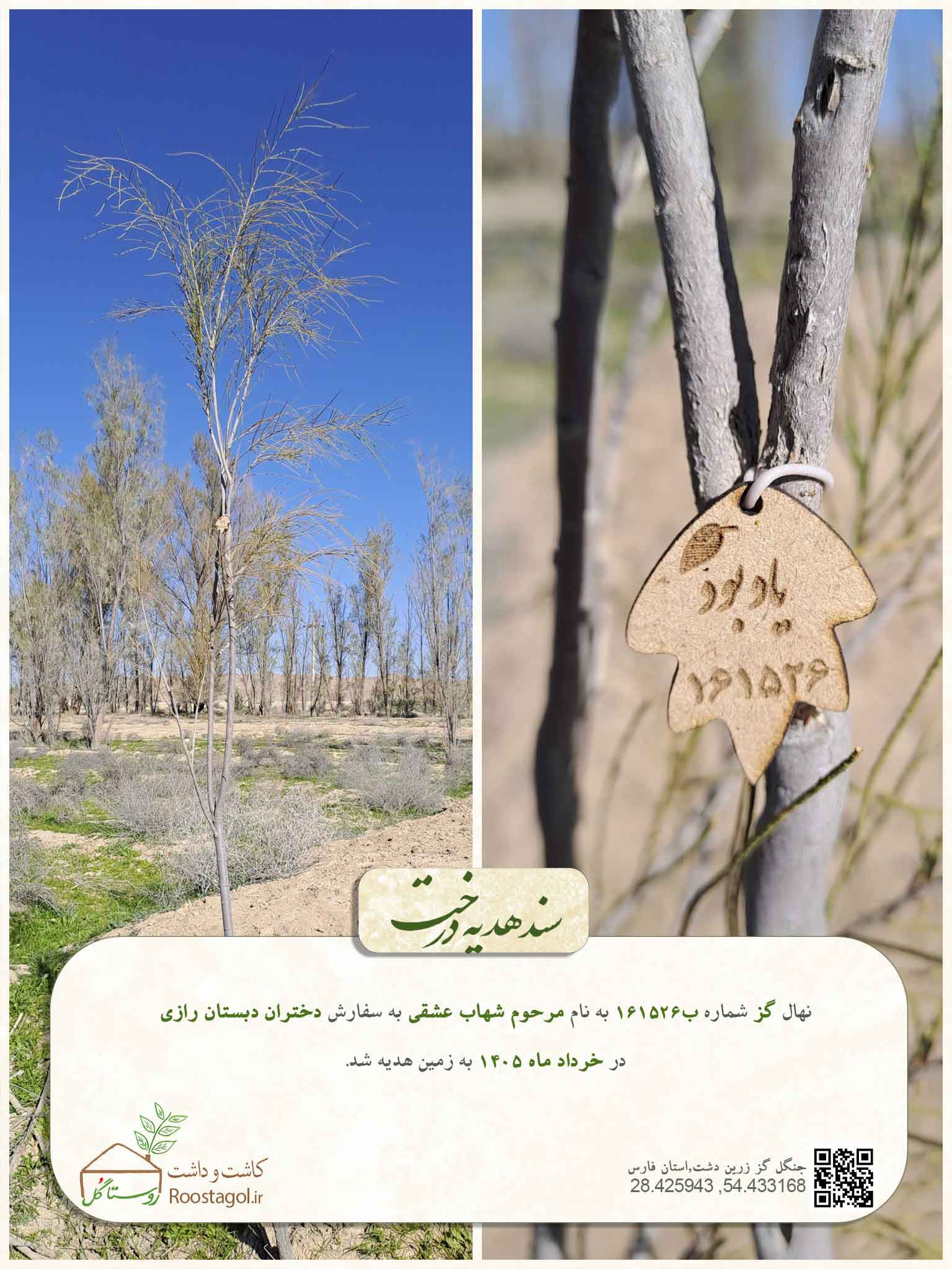 مرحوم شهاب عشقی