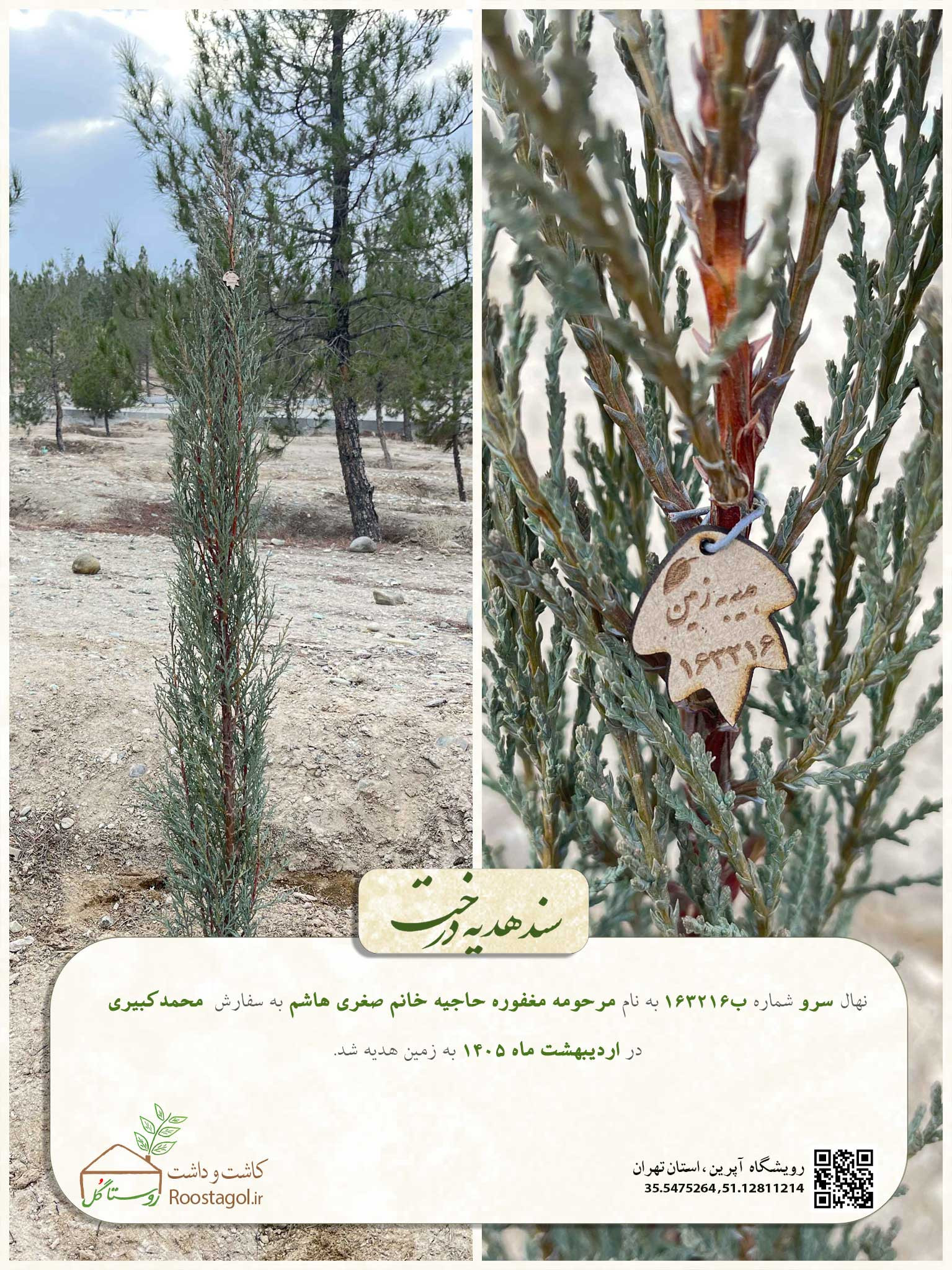 مرحومه مغفوره حاجیه خانم صغری هاشم