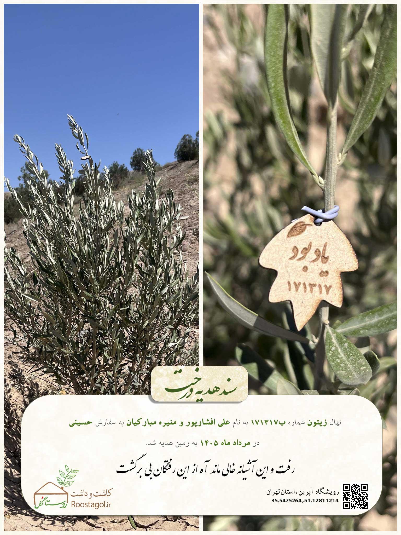 علی افشارپور و منیره مبارکیان