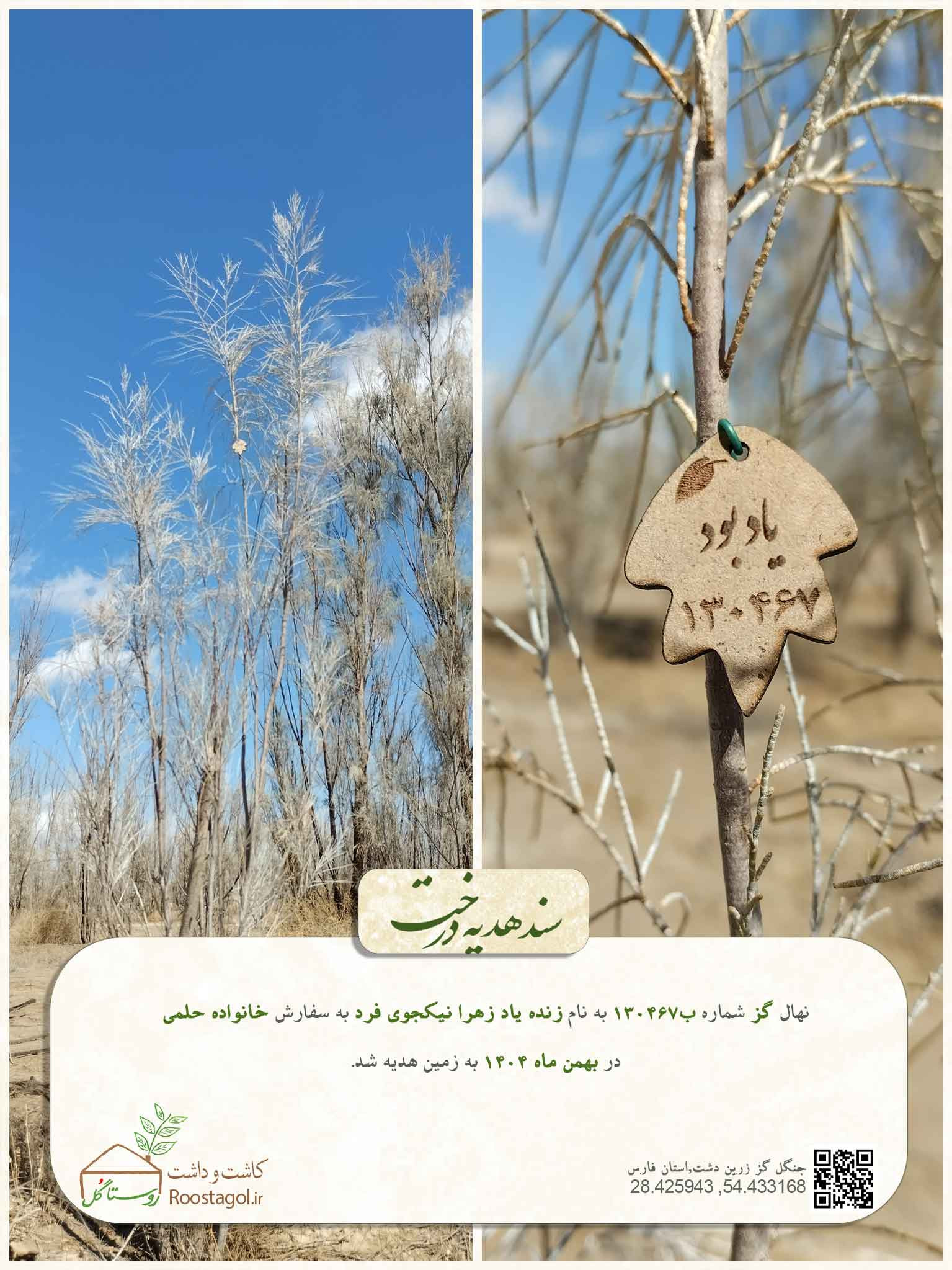 زنده ياد زهرا نيكجوى فرد