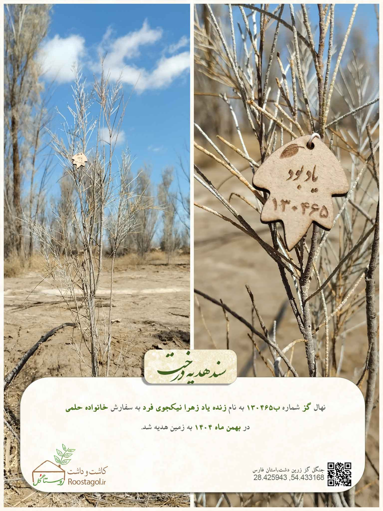 زنده ياد زهرا نيكجوى فرد