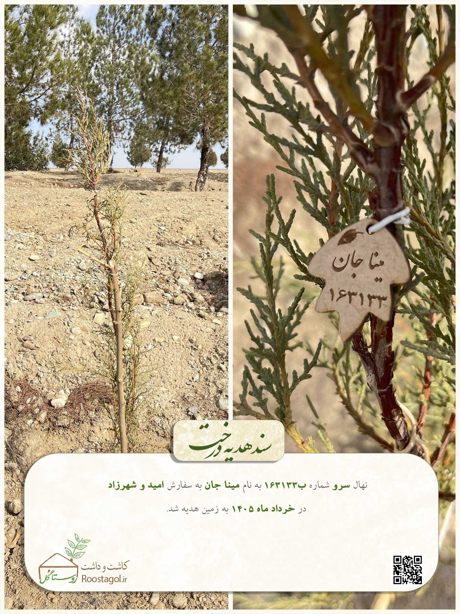 مینا جان