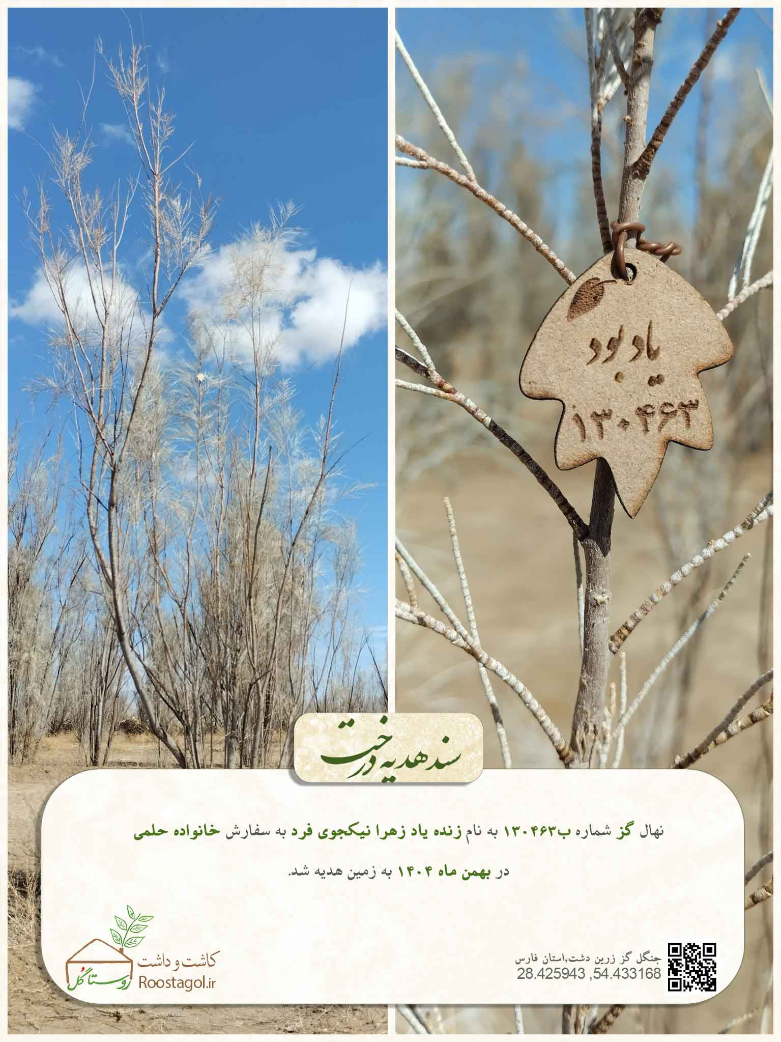 زنده ياد زهرا نيكجوى فرد