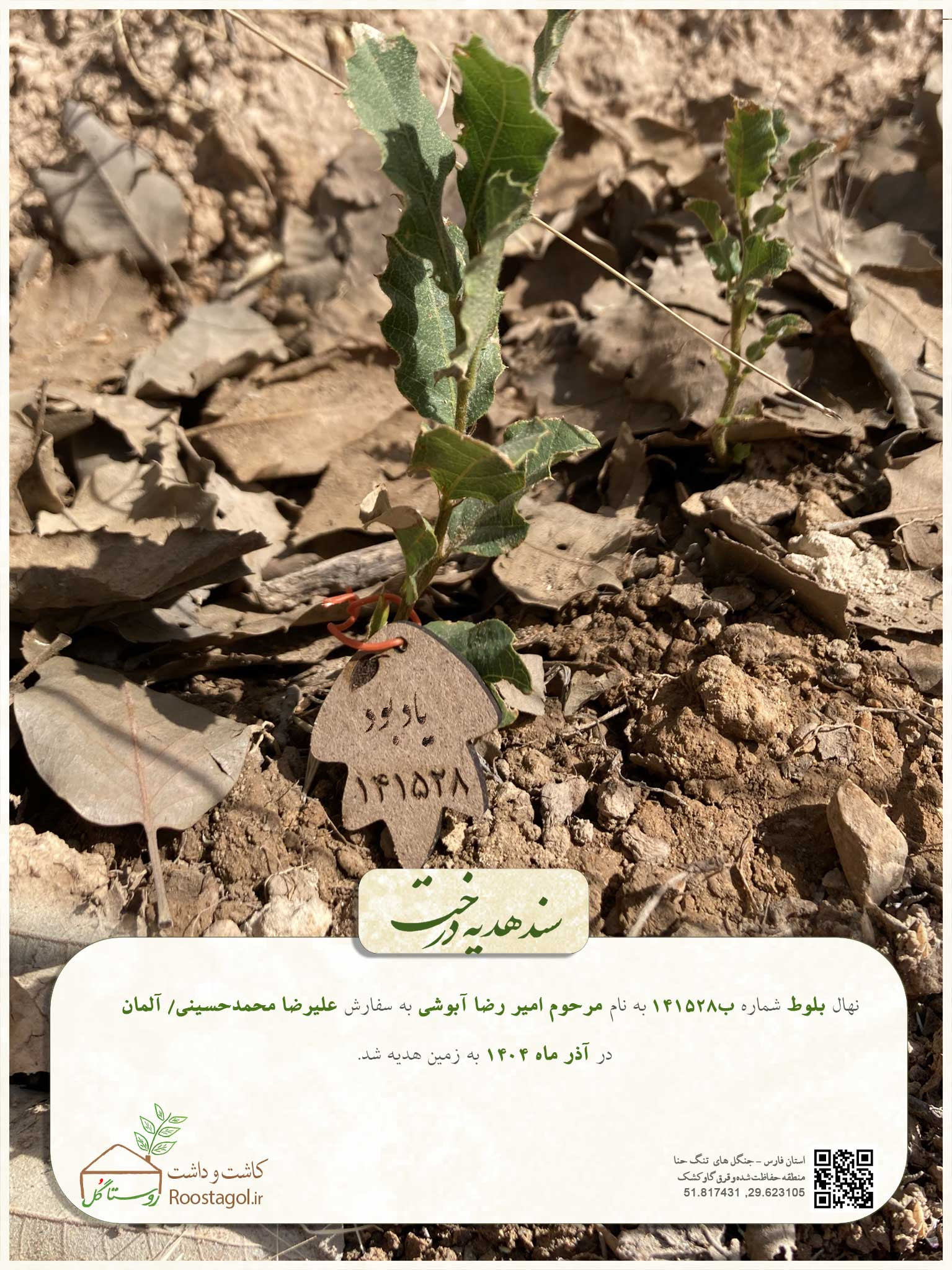 مرحوم امیر رضا آبوشی