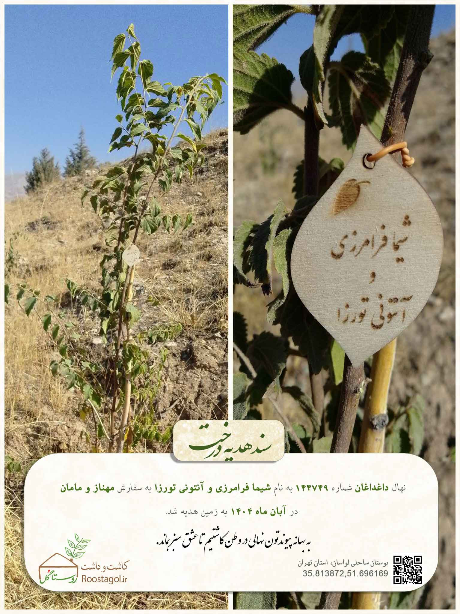 شیما فرامرزی و آنتونی تورزا