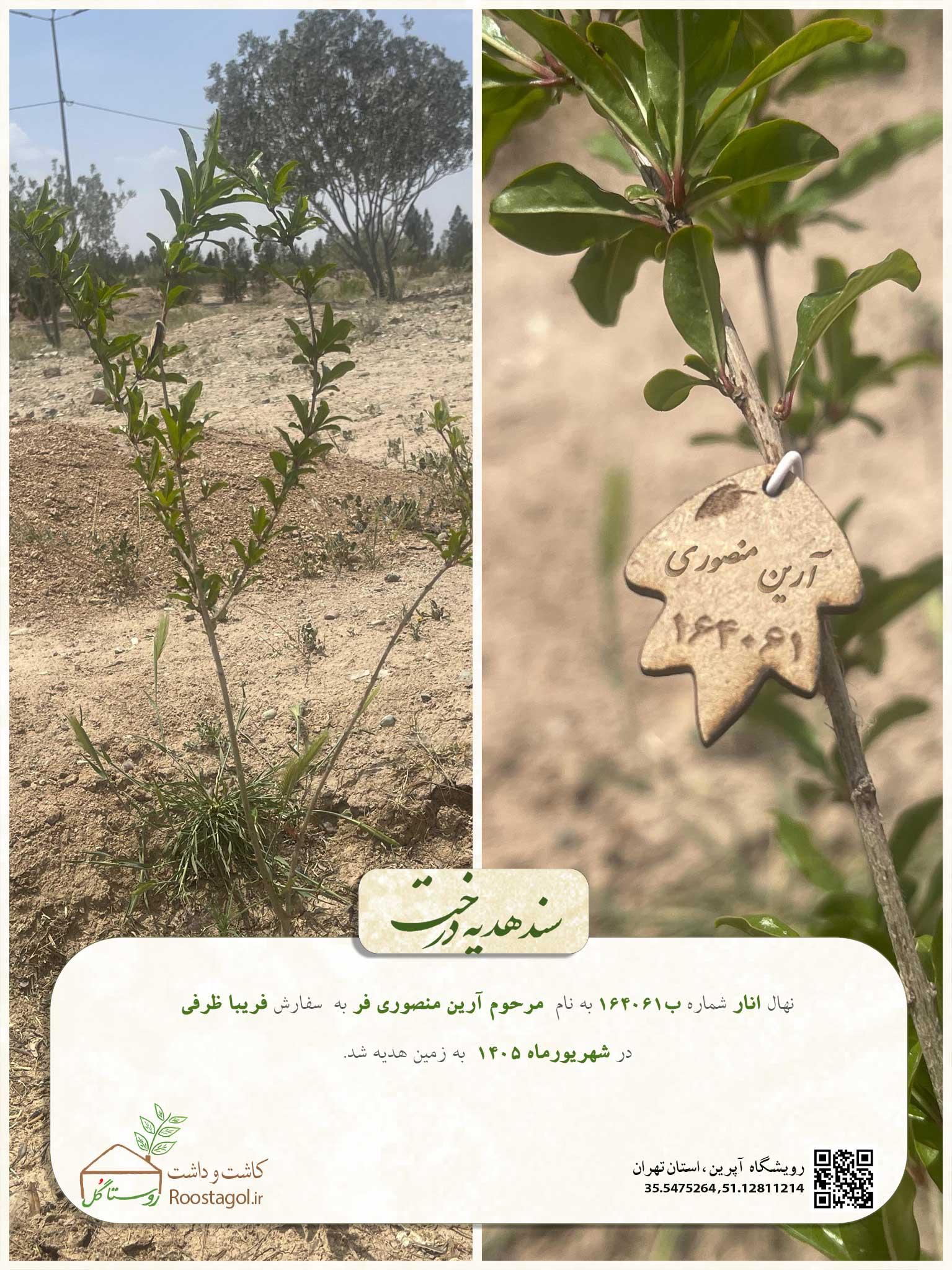 مرحوم آرین منصوری فر