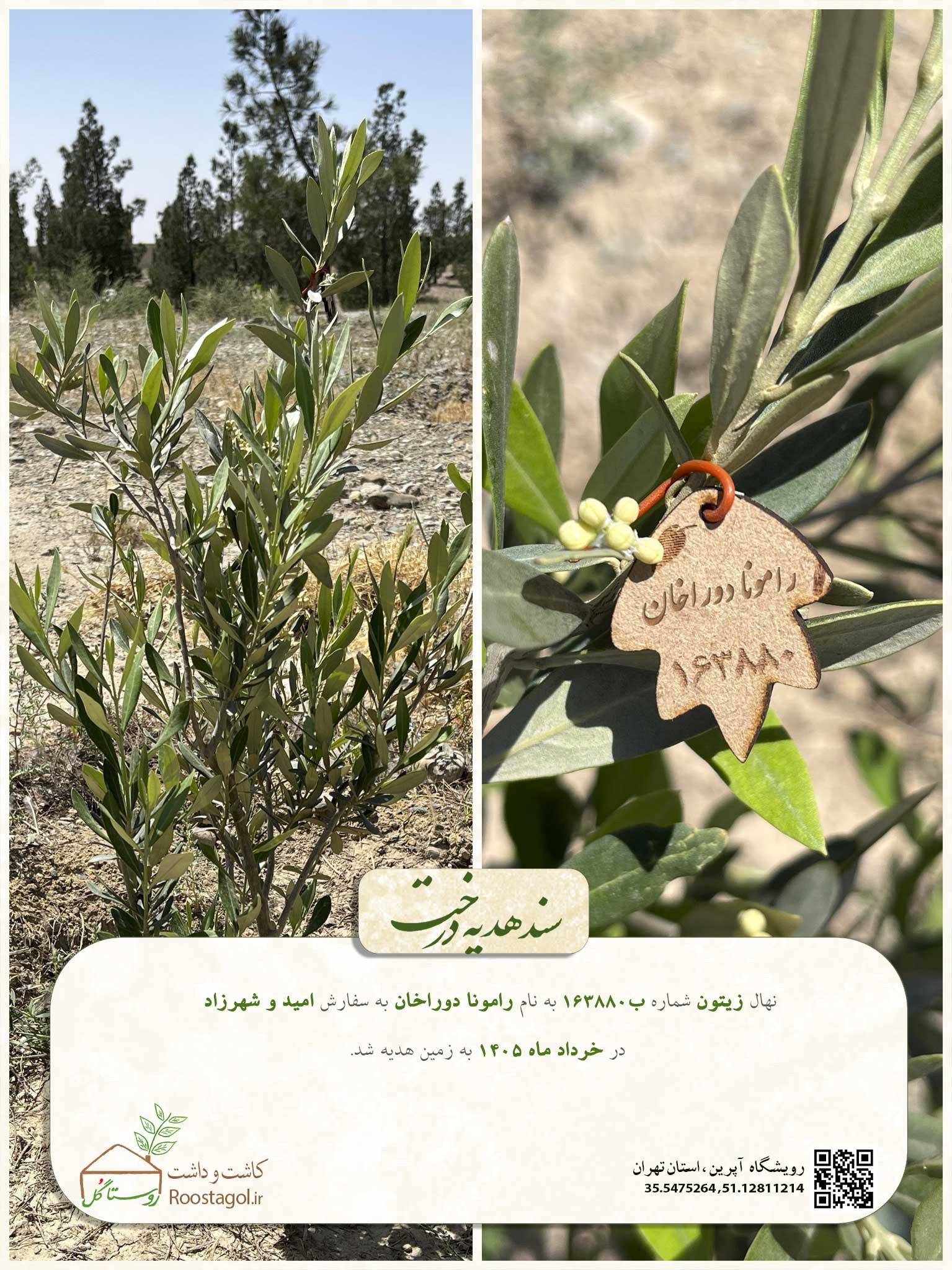 رامونا دوراخان