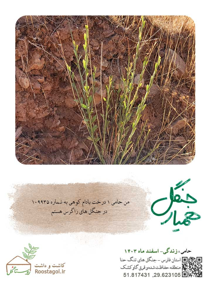 سفارش درخت