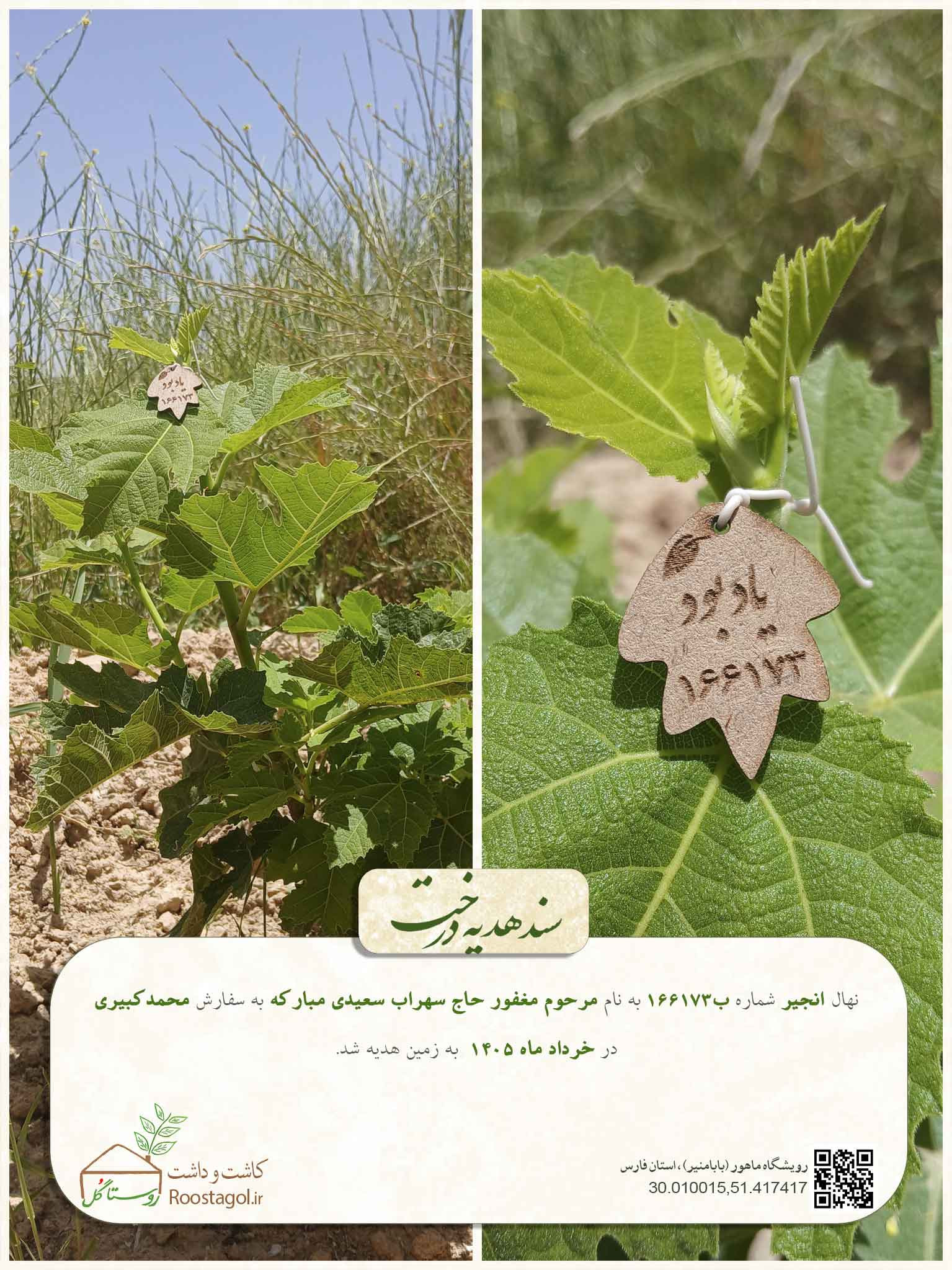 مرحوم مغفور حاج سهراب سعیدی مبارکه