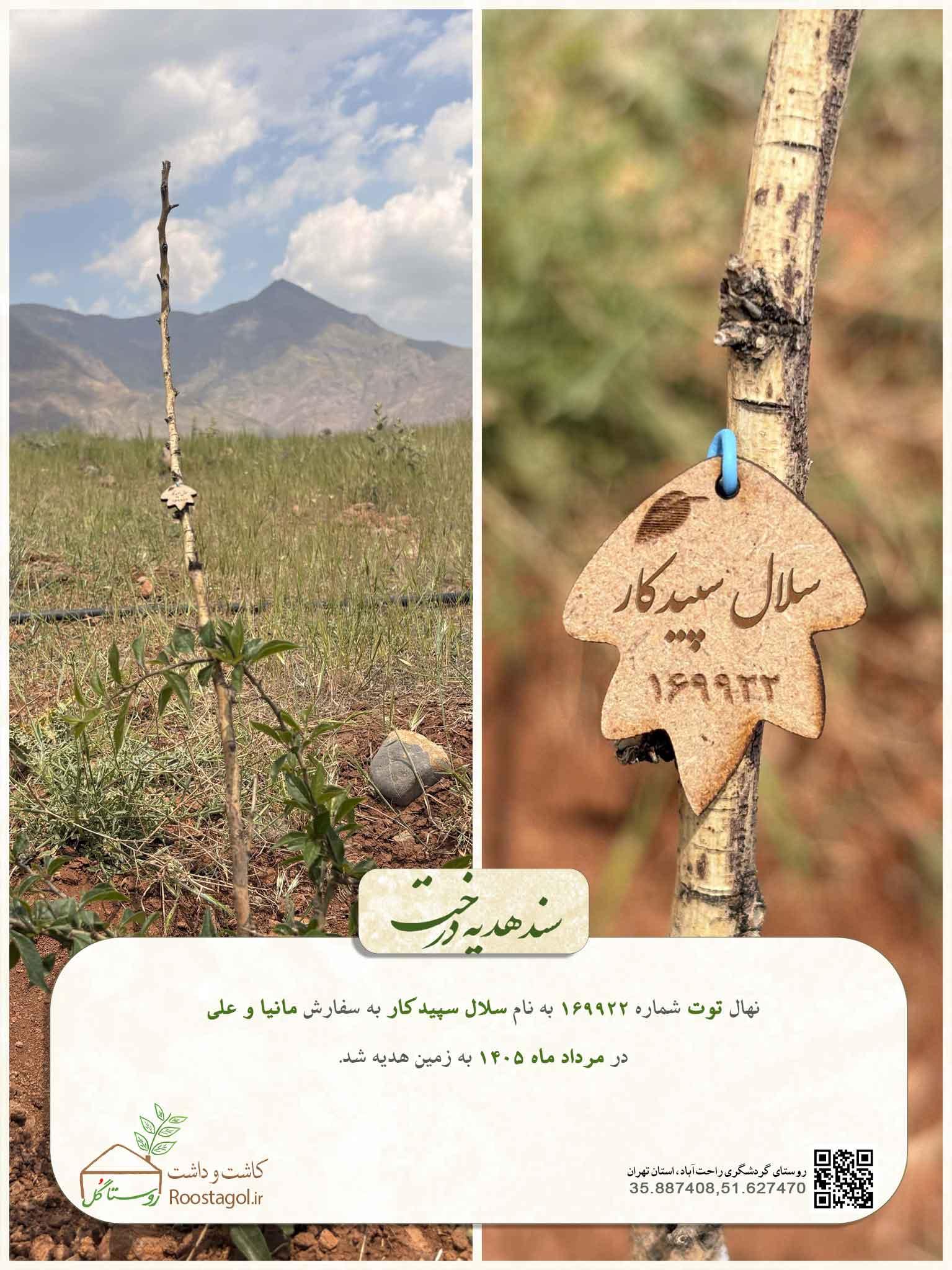 سلال سپیدکار