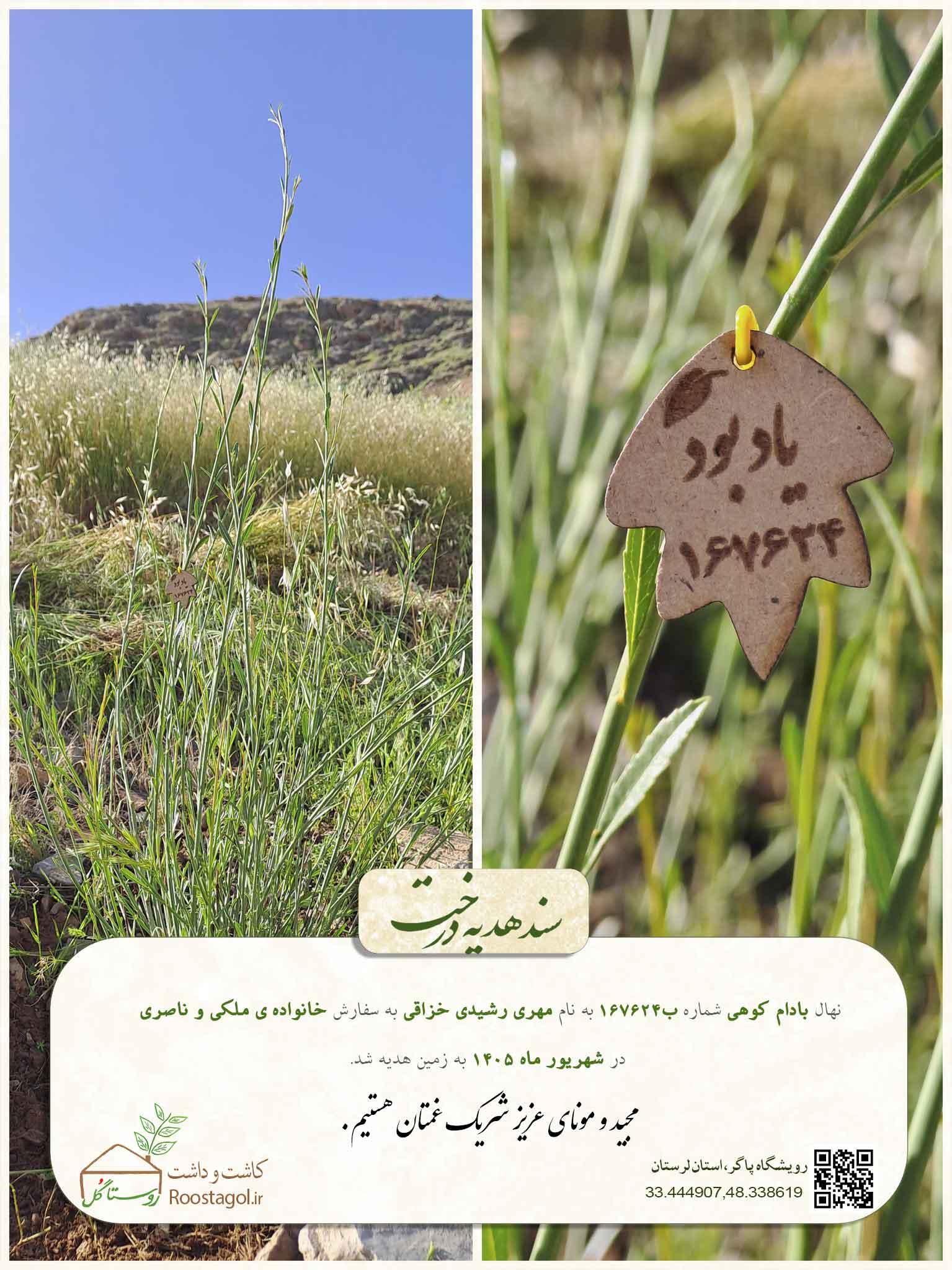 مهری رشیدی خزاقی