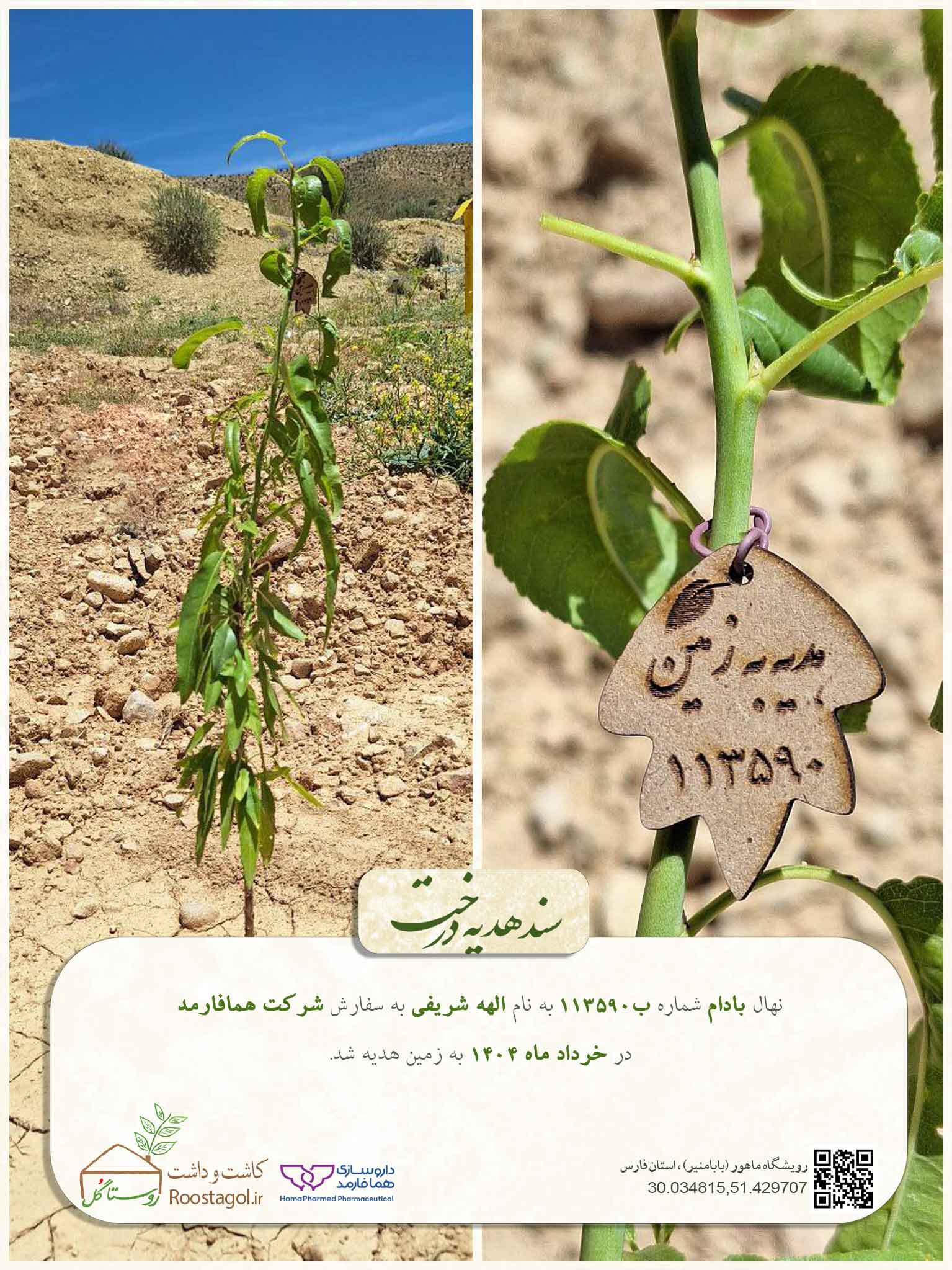 الهه شریفی