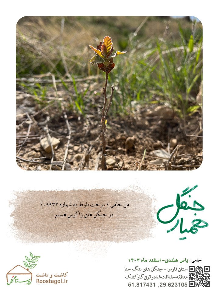 سفارش درخت