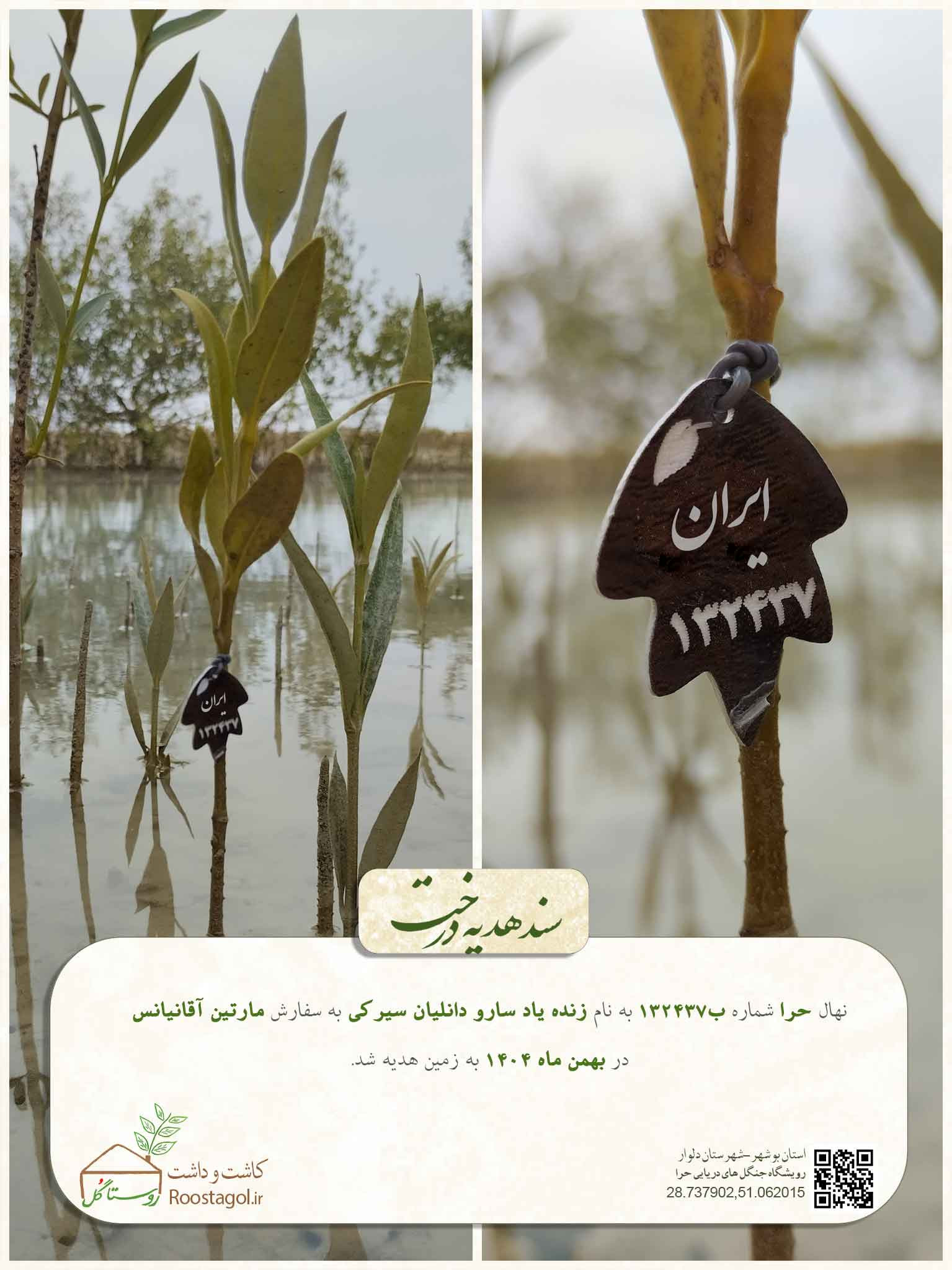 زنده یاد سارو دانلیان سیرکی