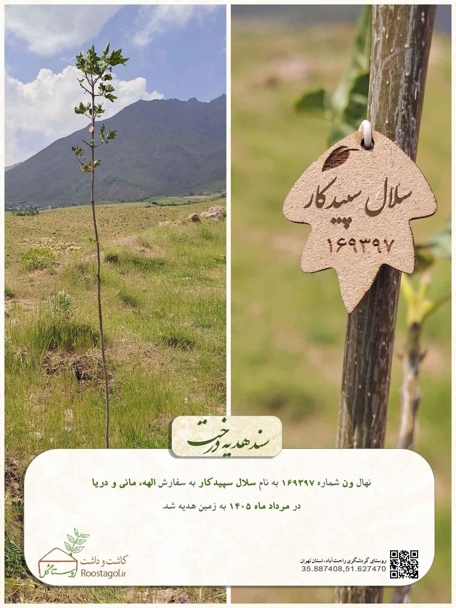 سلال سپیدکار