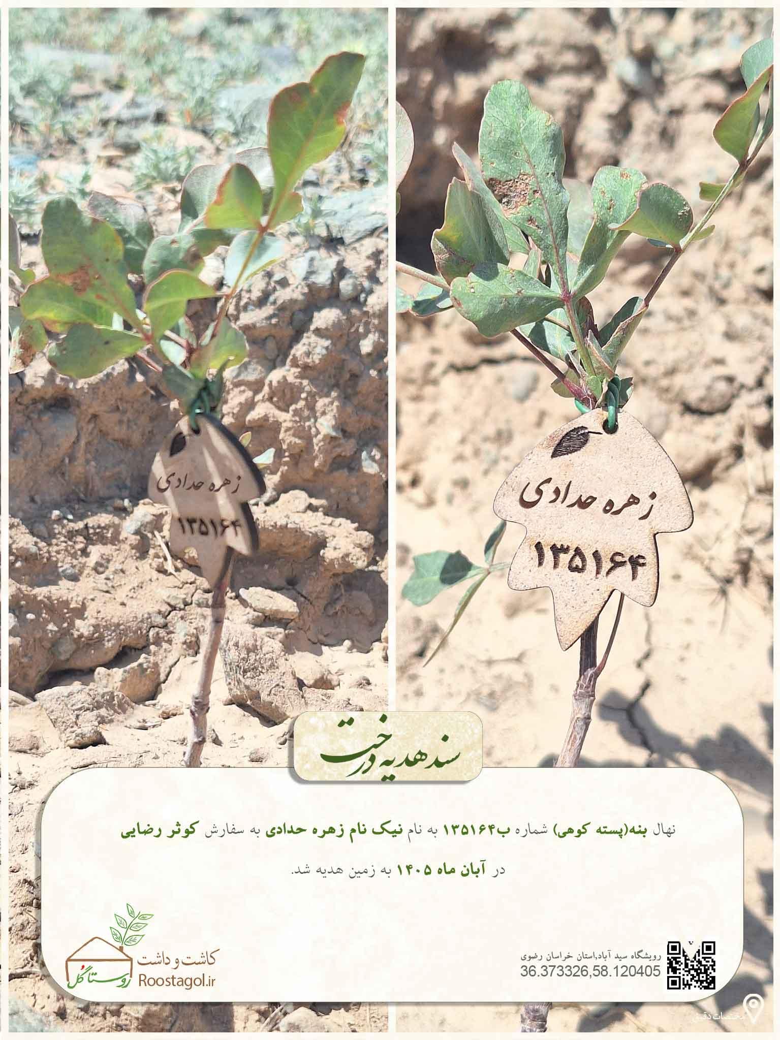 نیک نام زهره حدادی