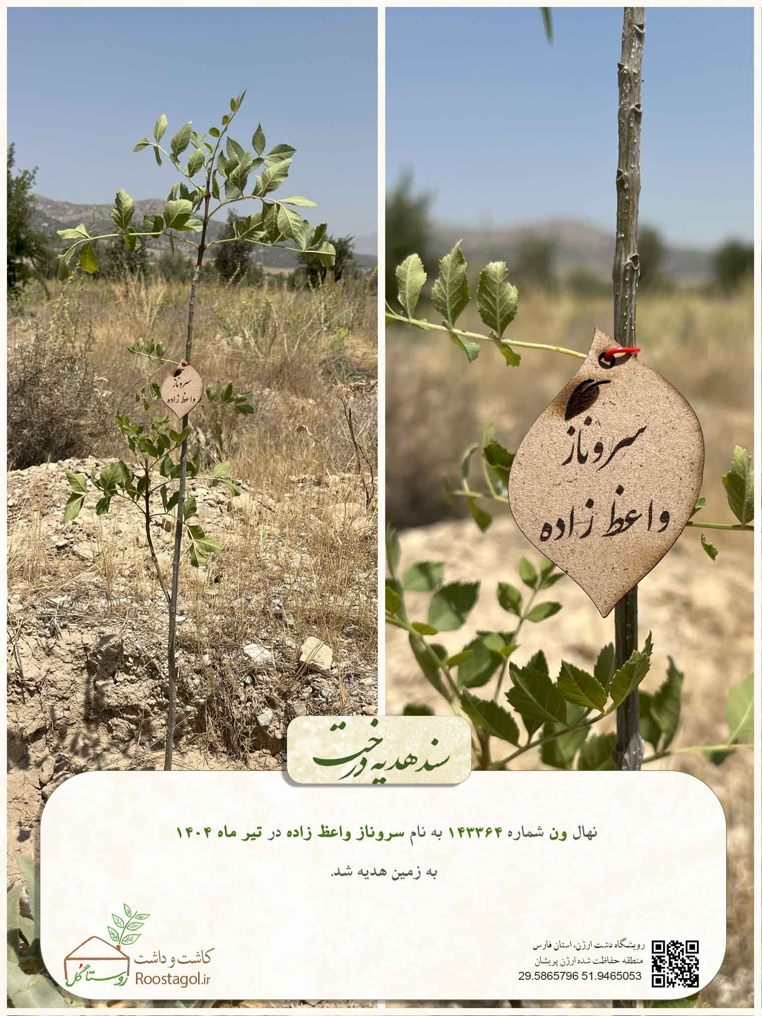 سروناز واعظ زاده