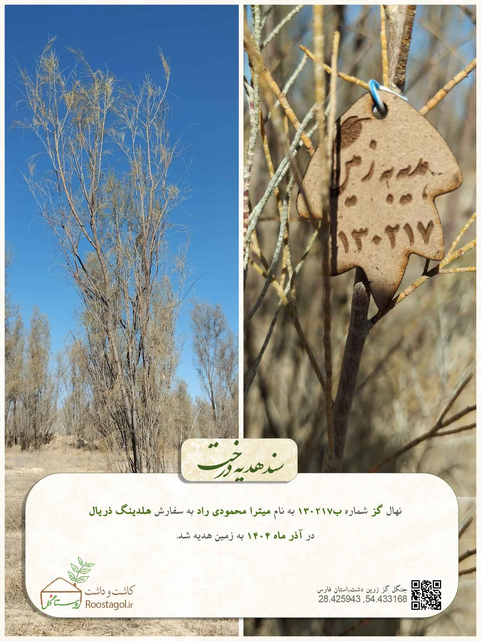 سفارش درخت