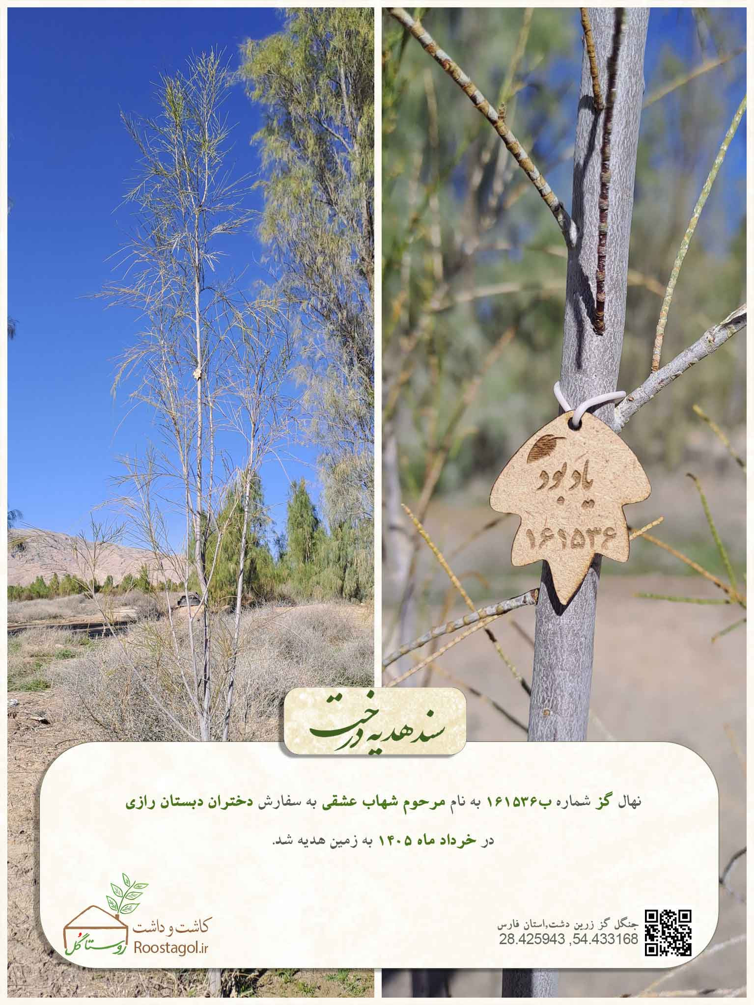 مرحوم شهاب عشقی