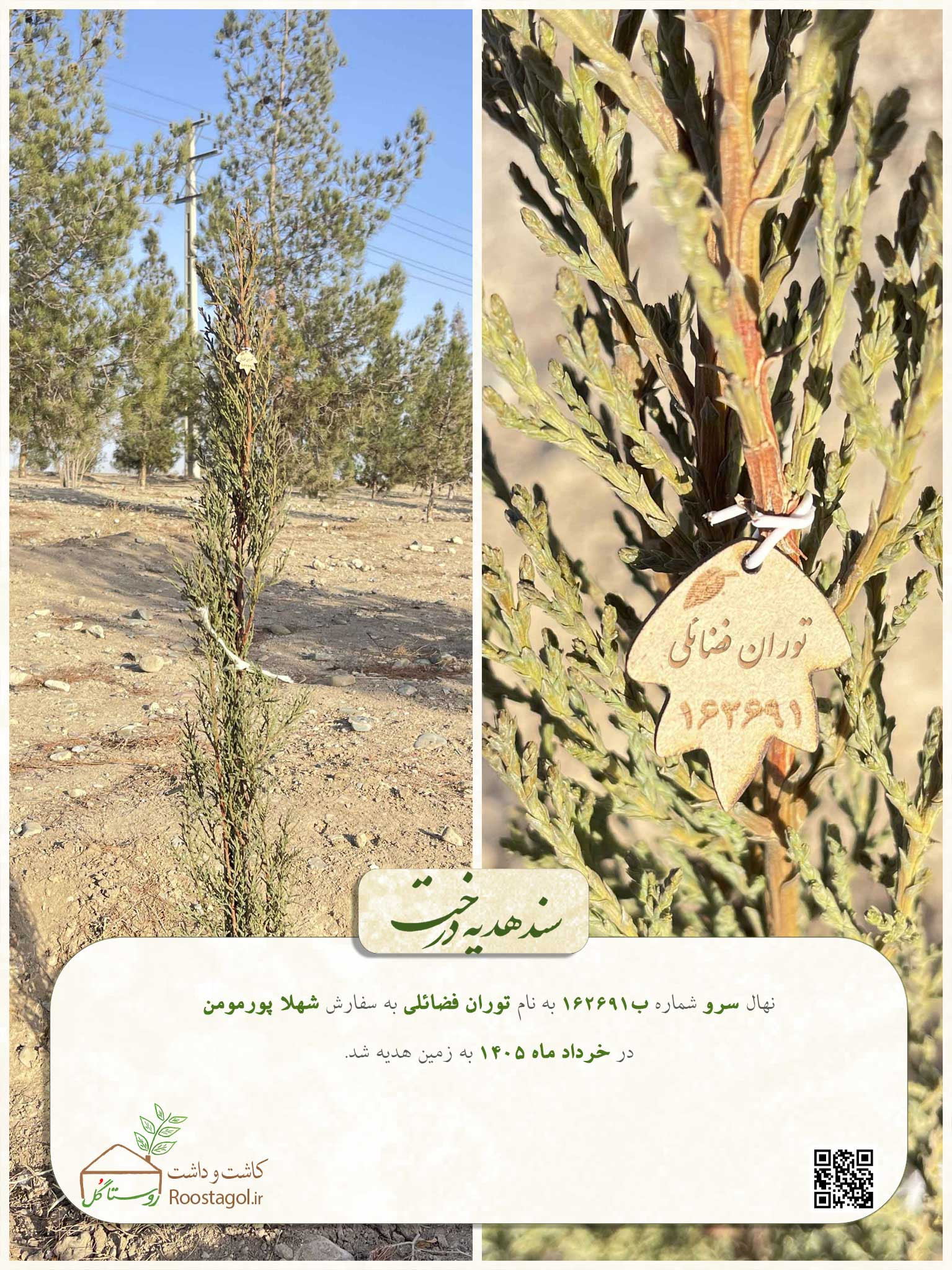 توران فضائلی