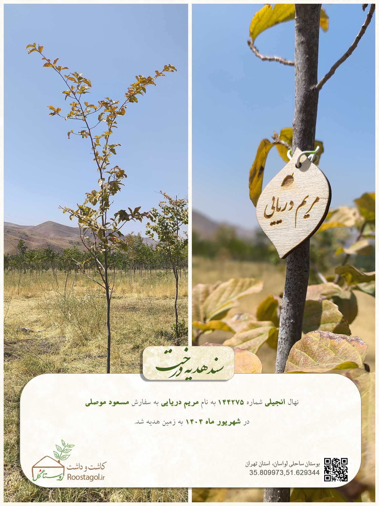 مریم دریایی