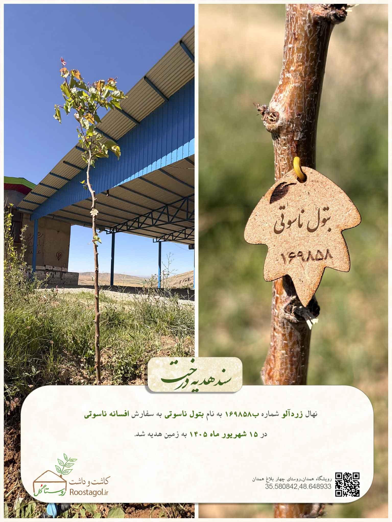 بتول ناسوتی