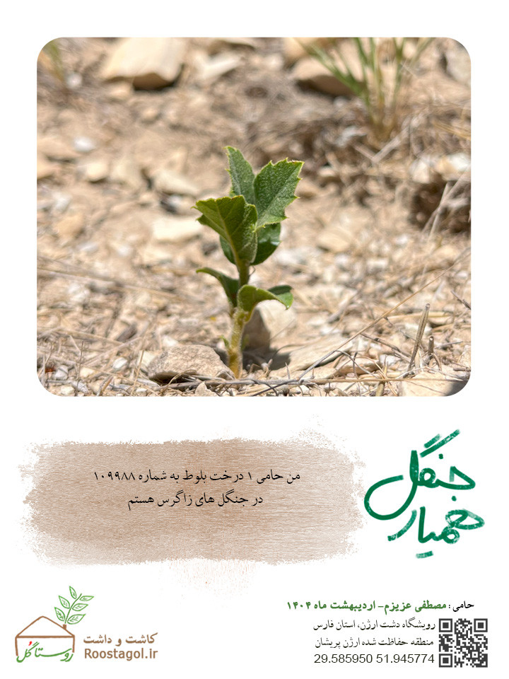 مصطفی عزیزم